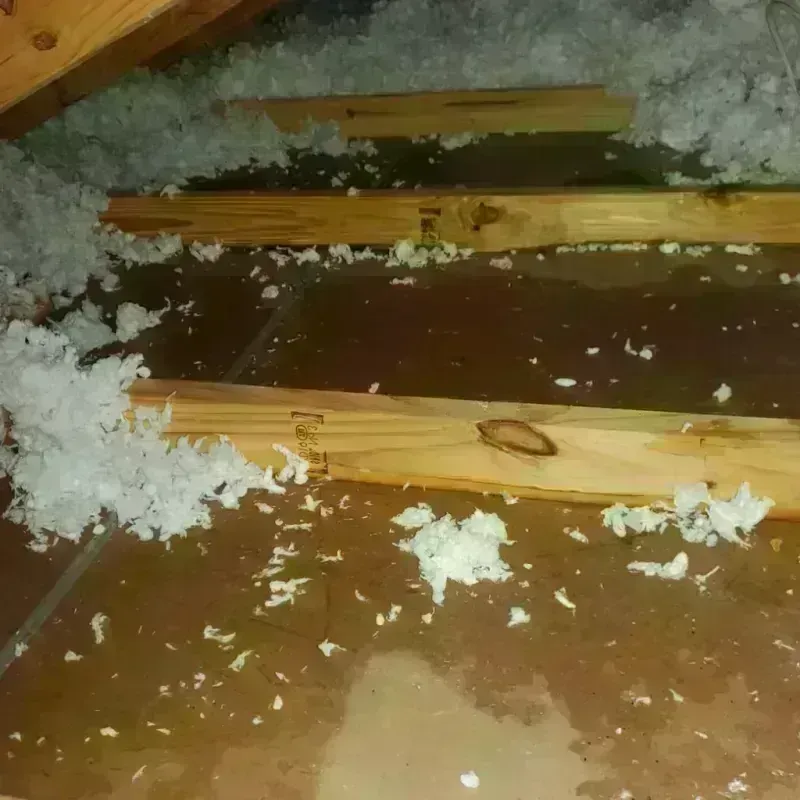 Attic Water Damage in Capitola, CA