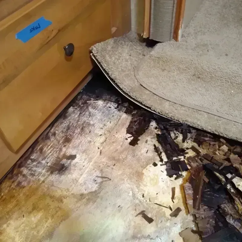 Wood Floor Water Damage in Capitola, CA